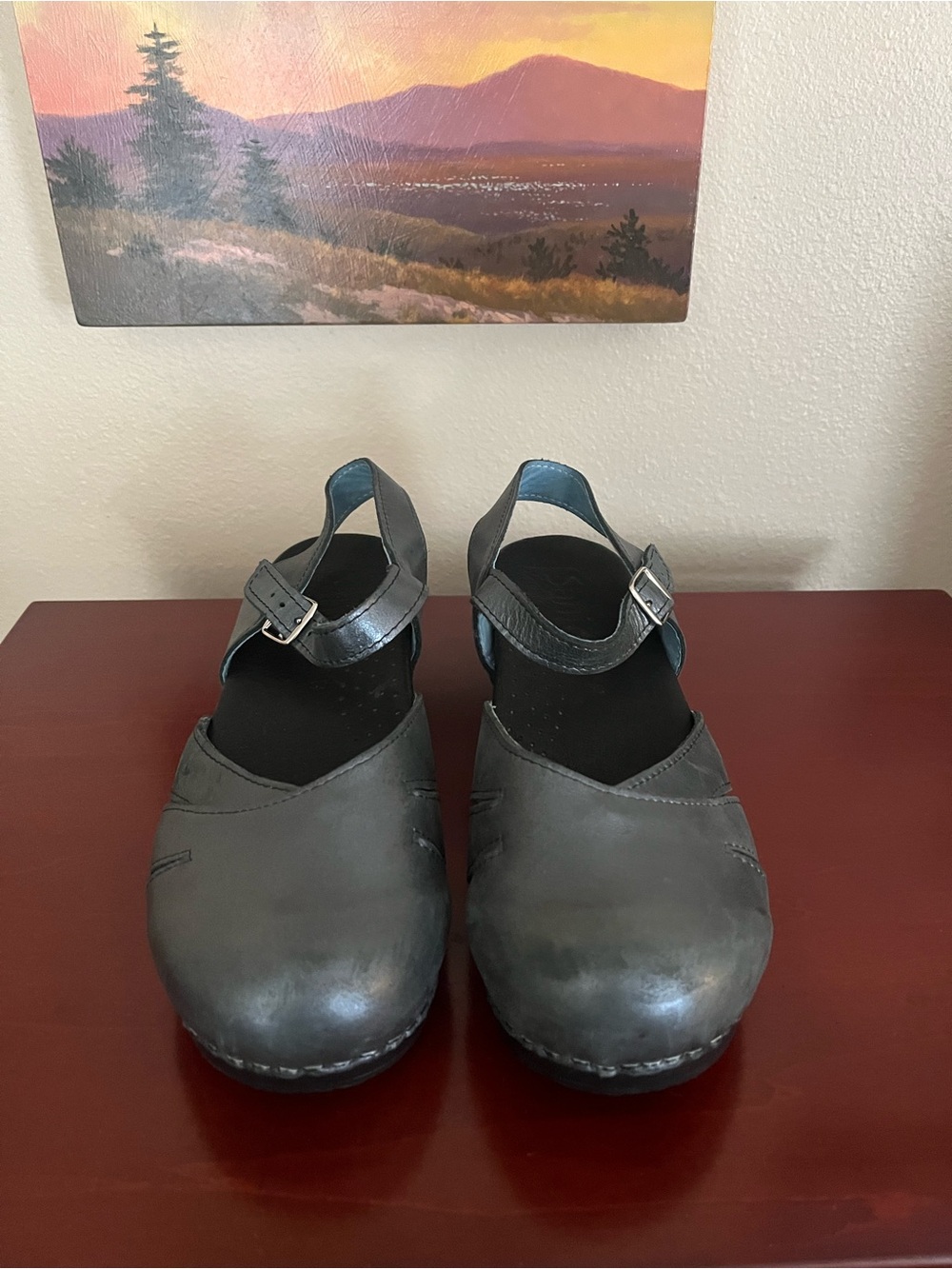 Dansko/Sanita Margreta Clog Size 39